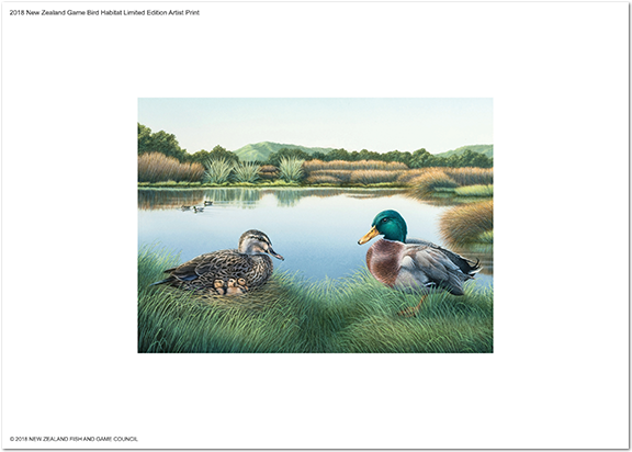 2018 Game Bird Habitat - Mallard Clipart (600x600), Png Download