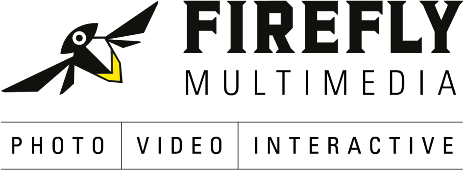 Logo Ff Multimedia Transparent Whitebg - Triangle Clipart (1024x424), Png Download