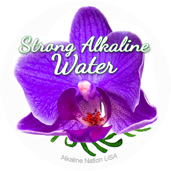 Beautiful Skin - 36 Stickers - - Orchids Of The Philippines Clipart (600x600), Png Download