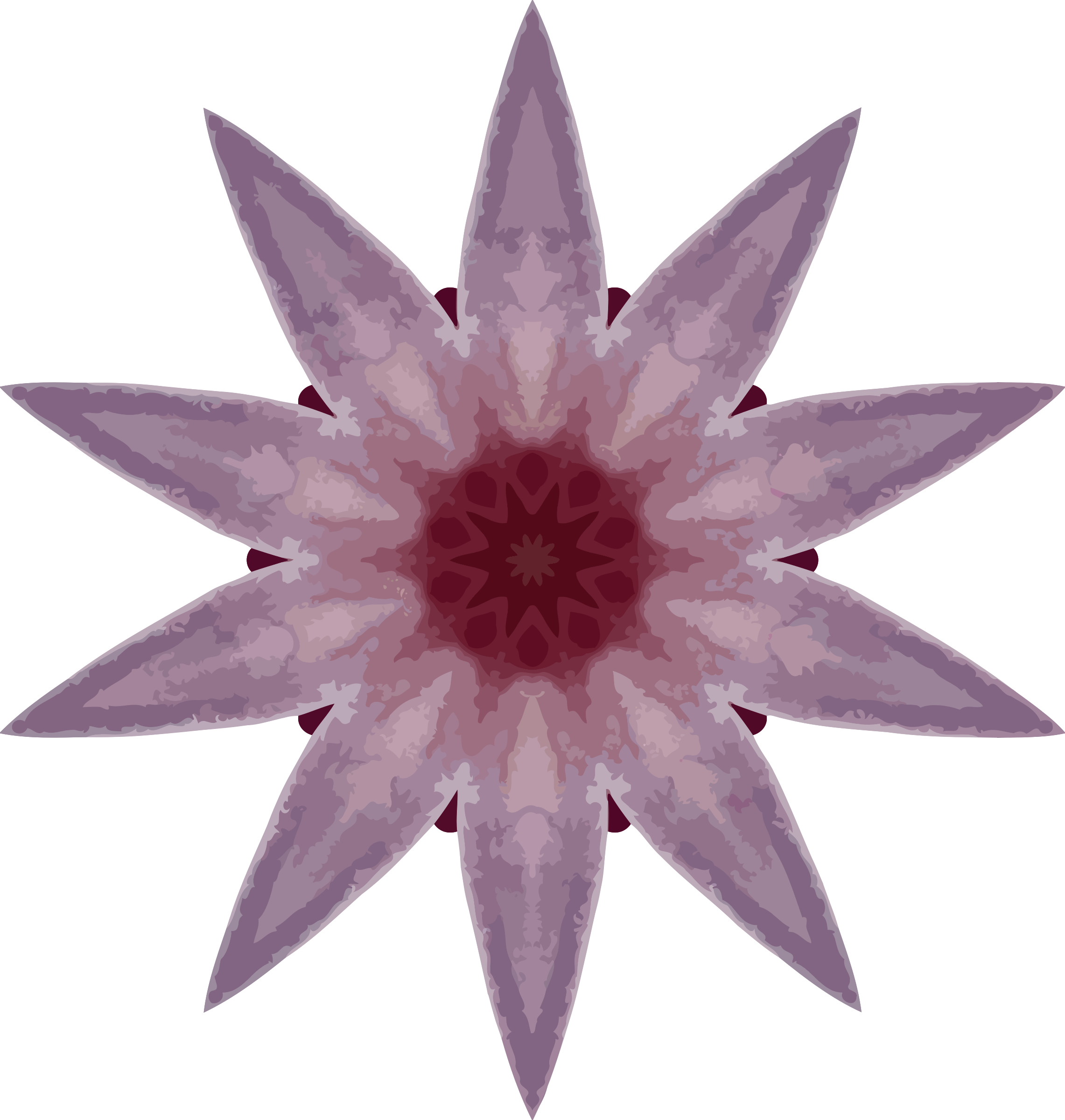 This Free Icons Png Design Of Orchid Kaleidoscope 19 - Star Vector Clipart (2282x2400), Png Download