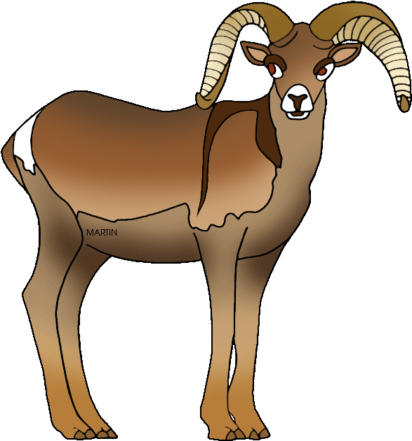 Dall Sheep Clipart Ram Pencil And In Color Dall Sheep - Nevada State Animal Bighorn Sheep - Png Download (587x629), Png Download