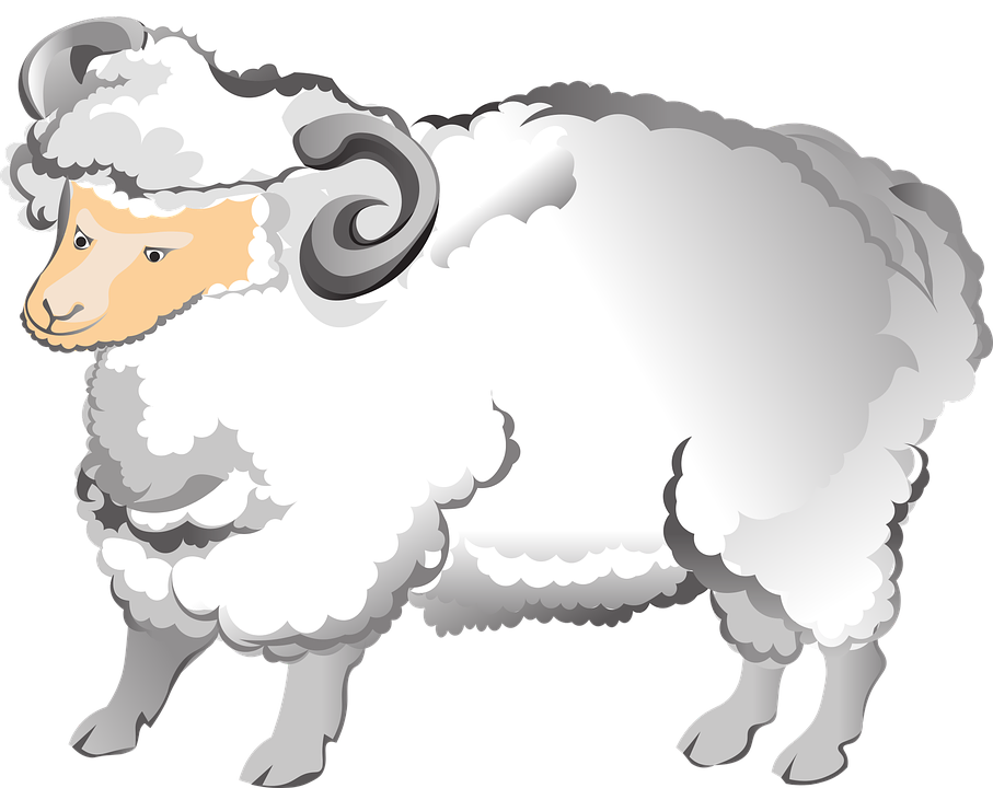 Ram Sheep Horns Farm Animal Fluffy Mammal Male - Sheep Clipart (907x720), Png Download