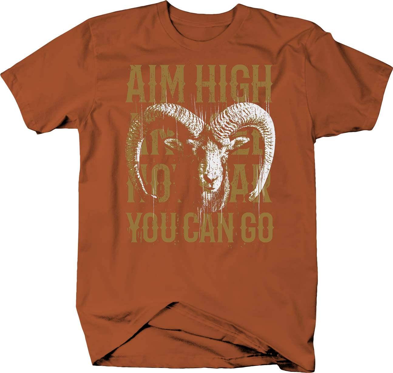 Aim High And See How Far You Can - T-shirt Clipart (1295x1229), Png Download
