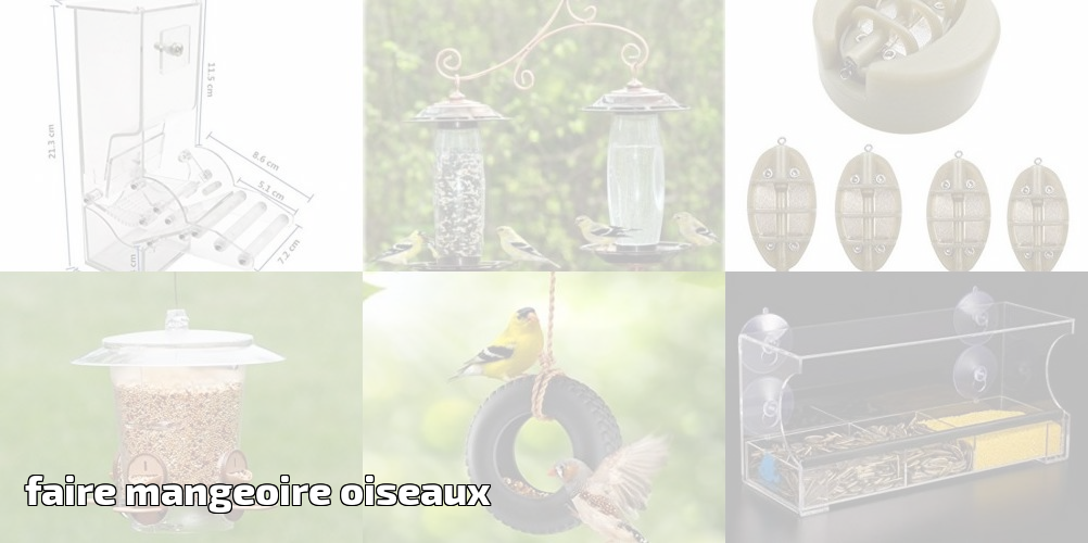 House Finch Clipart (1002x500), Png Download