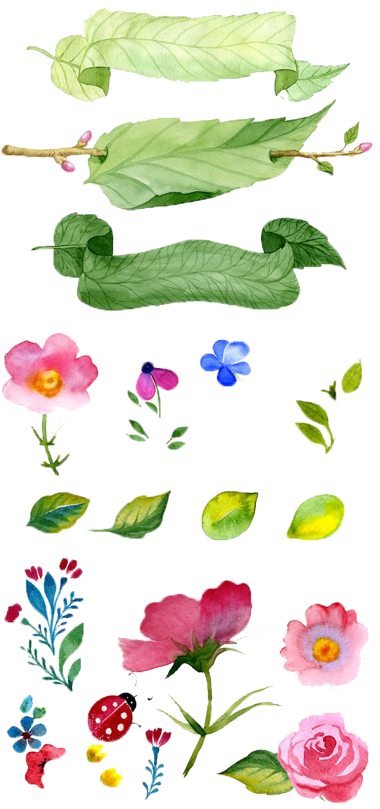 Flower Illustration Watercolor Flowers Painting Hand-painted - Watercolor Painting Clipart (564x1177), Png Download