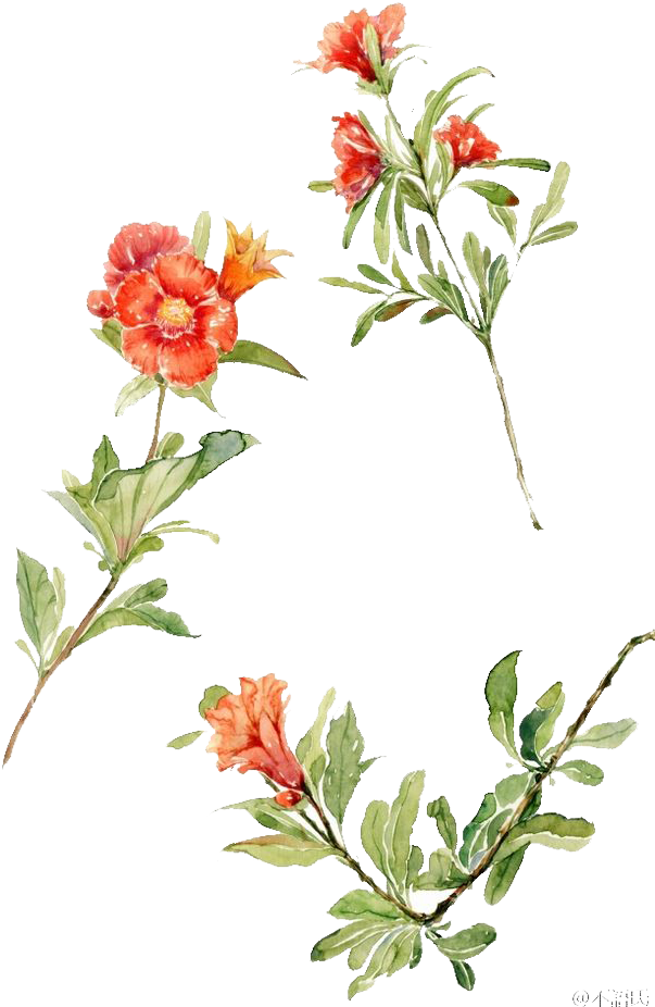 Jpg Freeuse Flowers Floral Design Watercolor Painting - Watercolor Painting Clipart (658x982), Png Download