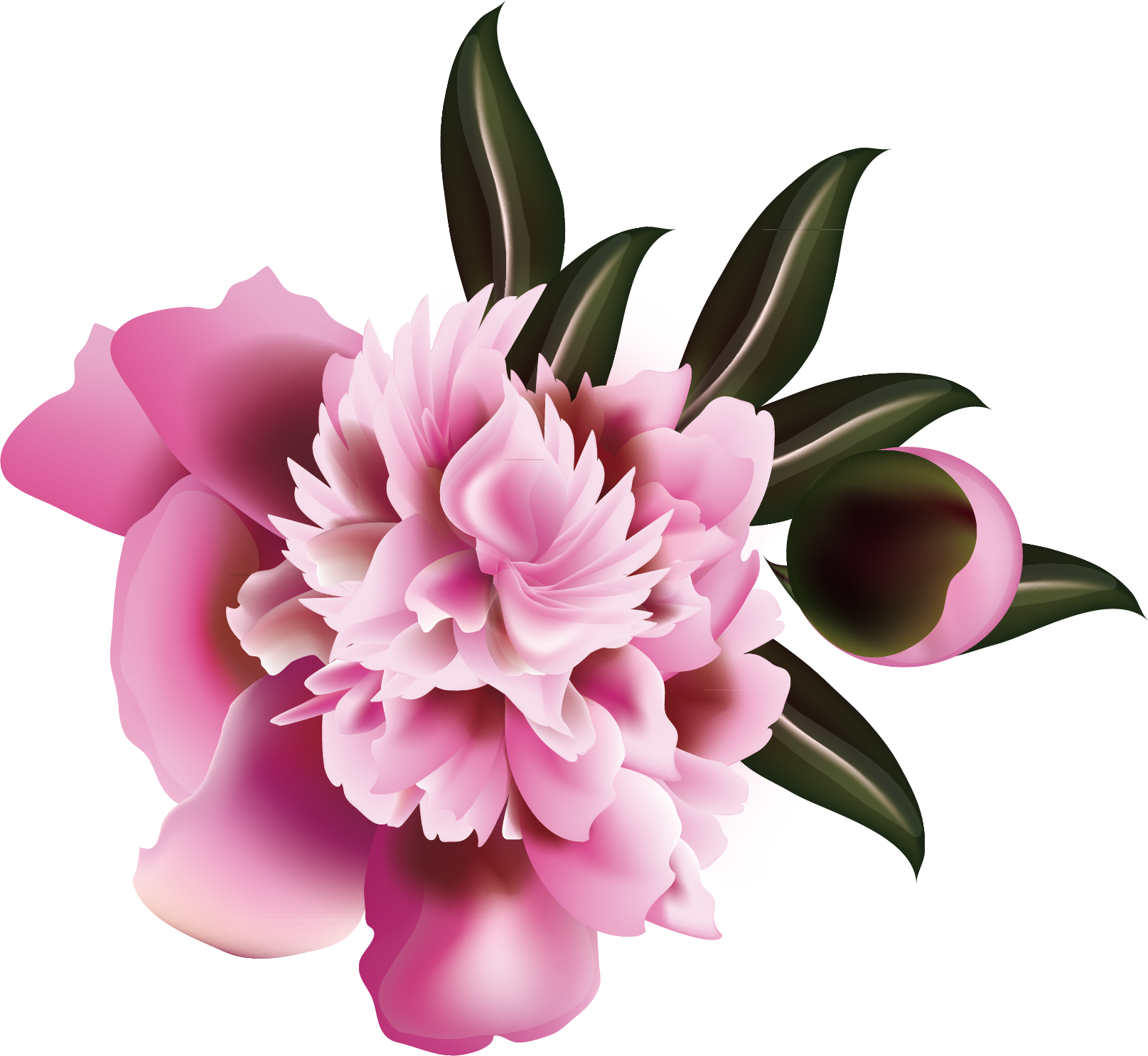 Floral Design Flower Illustration Clipart (1615x1487), Png Download