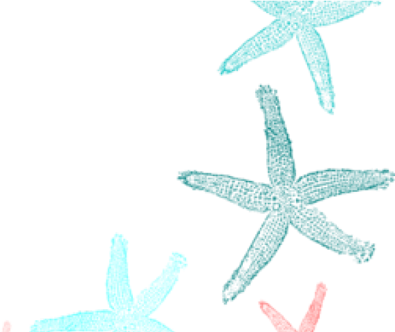 Fish Clip Art - Png Download (640x480), Png Download