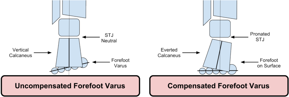 The Gait Guys Clipart (1000x348), Png Download