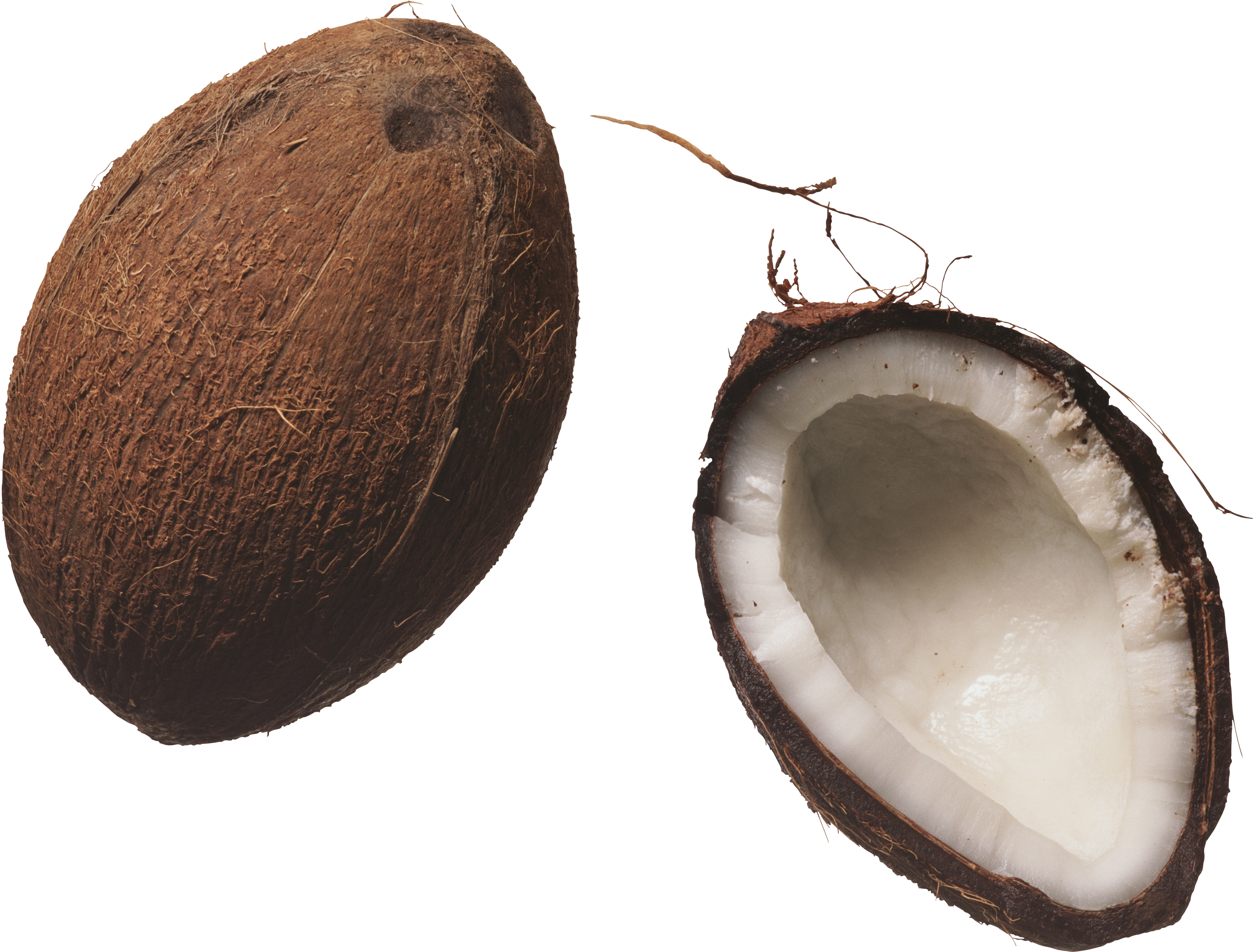 Make The Switch To Coconut Oil You'll Love The Taste - Coconut Clipart (2773x2108), Png Download