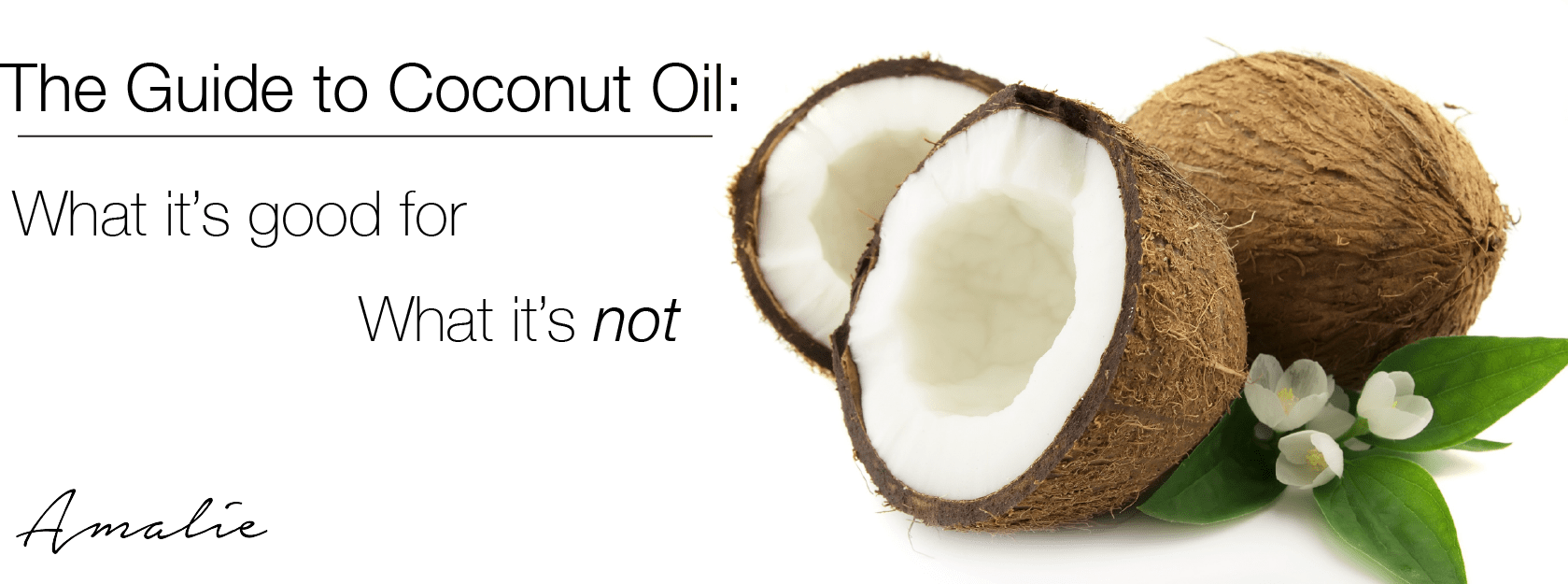 The Definitive Guide To Coconut Oil - Coconut Png Clipart (1679x625), Png Download