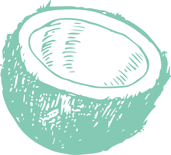 Small - Coconut Line Art Clipart (600x546), Png Download