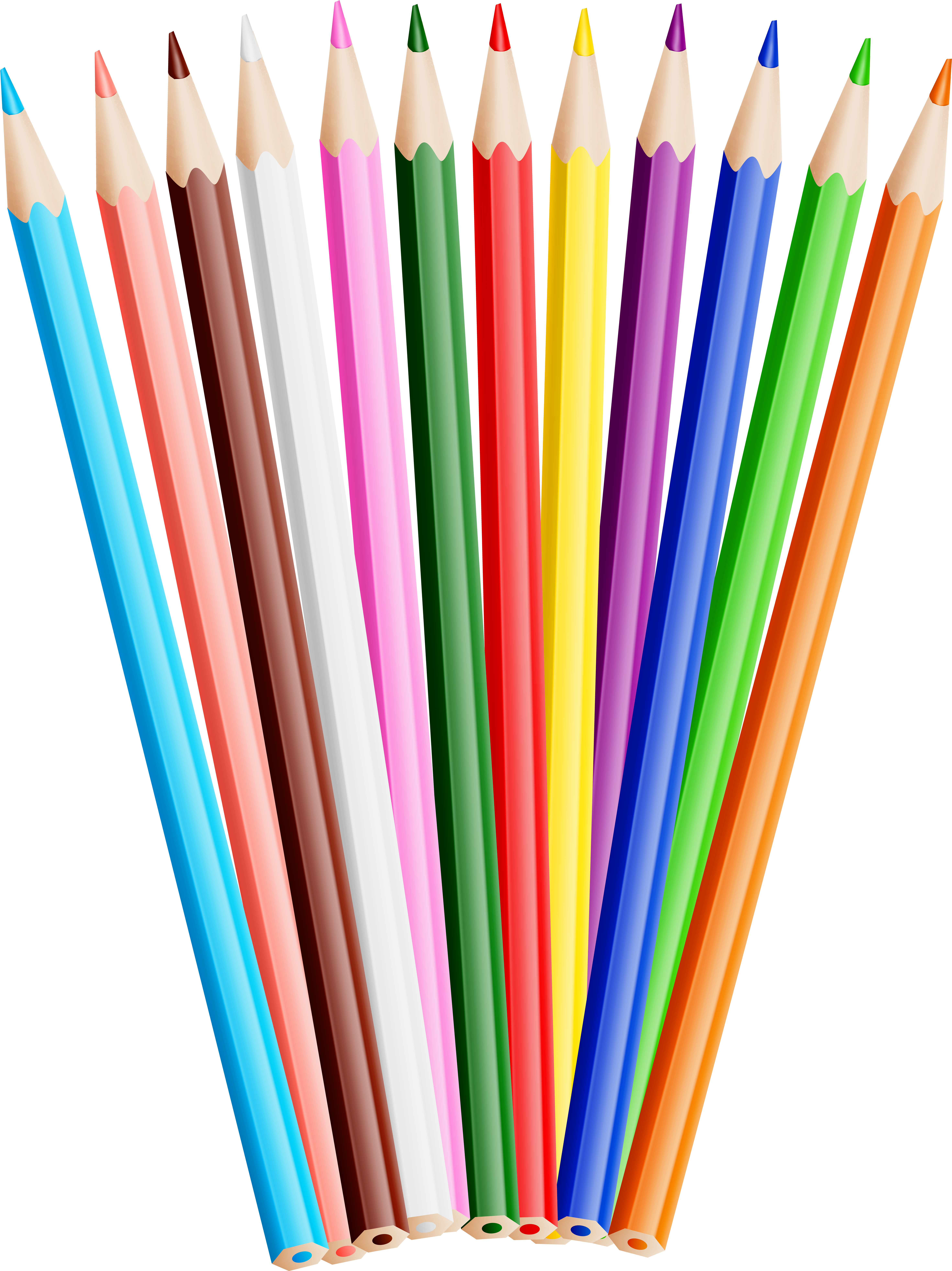 Png Clip Art Image Transparent Png (6066x8000), Png Download