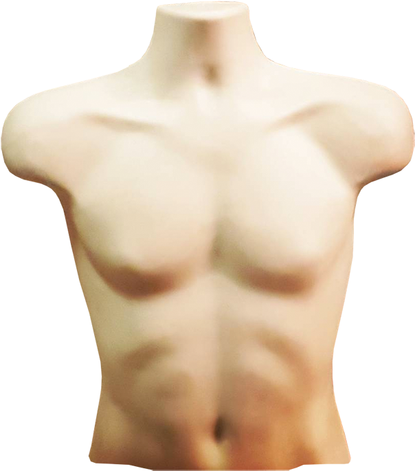 Torso Png Transparent Background - Pound Of Flesh Torso Clipart (800x800), Png Download