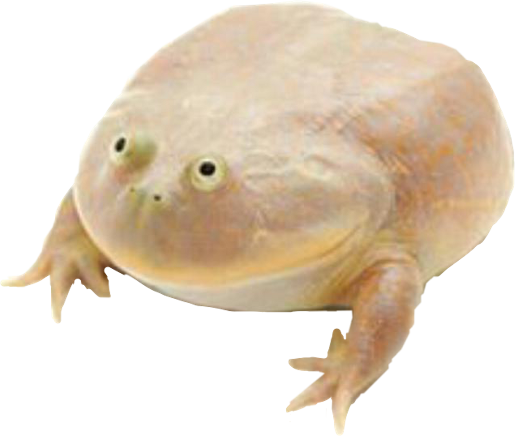 Wednesday Frog Png Transparent Background - You Don T Matter Give Up Meme Clipart (1024x868), Png Download