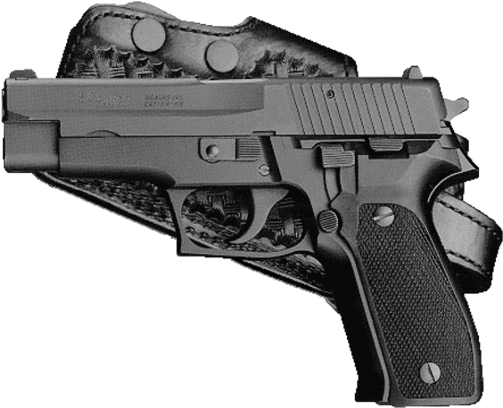 9 Mm Handguns And Other Guns 308 Rifles,mp5, H&k Sub-machine - Sig Sauer P226 Clipart (640x480), Png Download