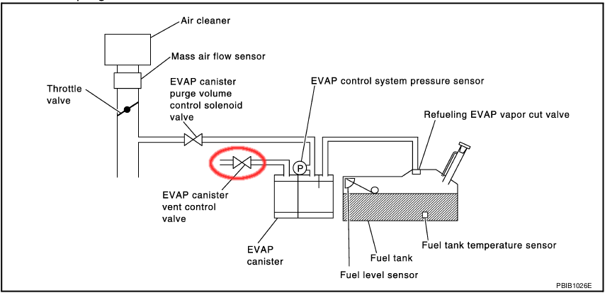 Dtc Code P0455 - P0456 2011 Nissan Sentra Clipart (854x413), Png Download