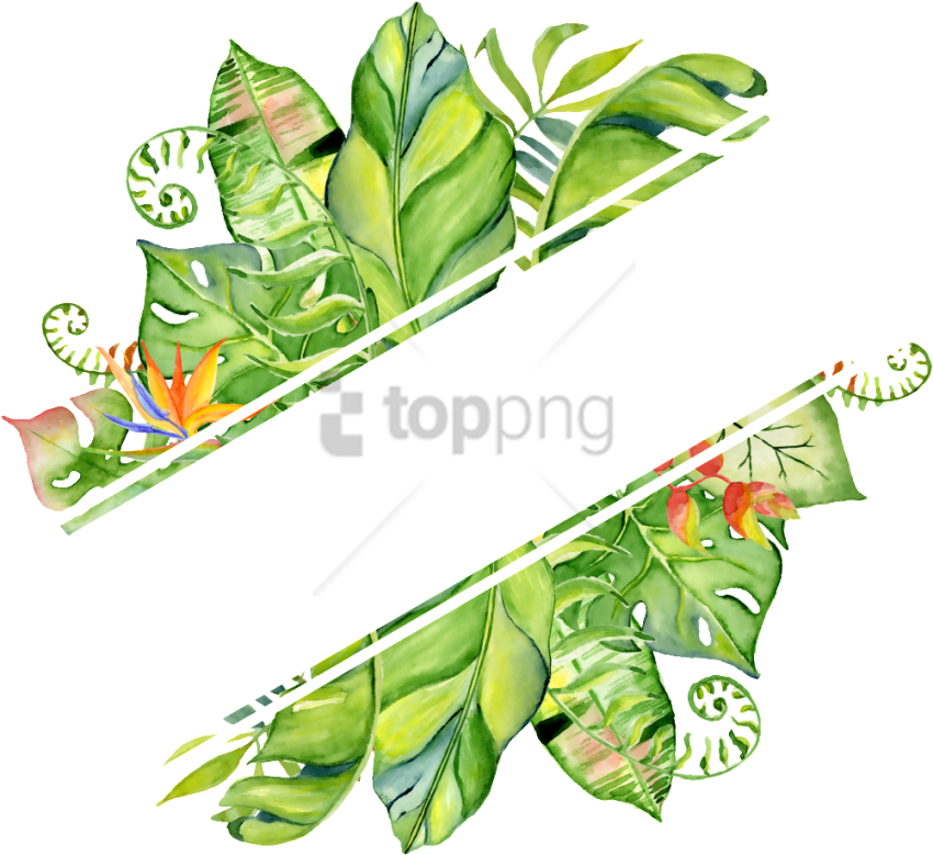 Free Png Hand Drawn Watercolor Tropical Frame Png Image - Fondos De Hojas De Plantas Clipart (850x779), Png Download