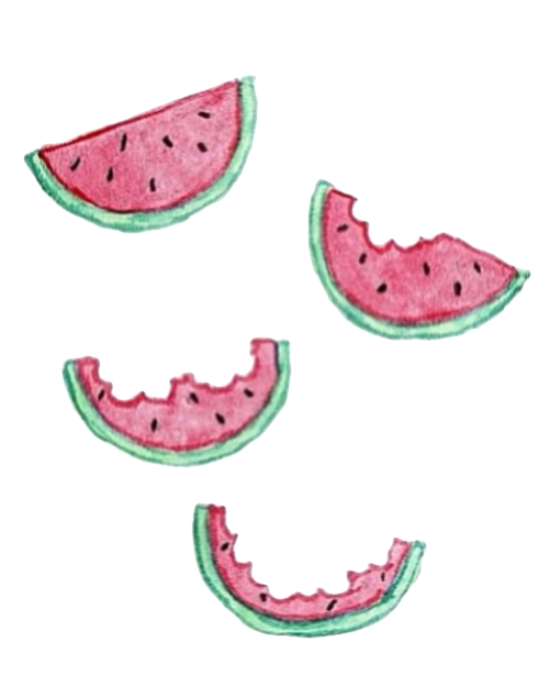 Summer Doodles Fondos De Pantalla Sandias Clipart Large Size Png Image Pikpng