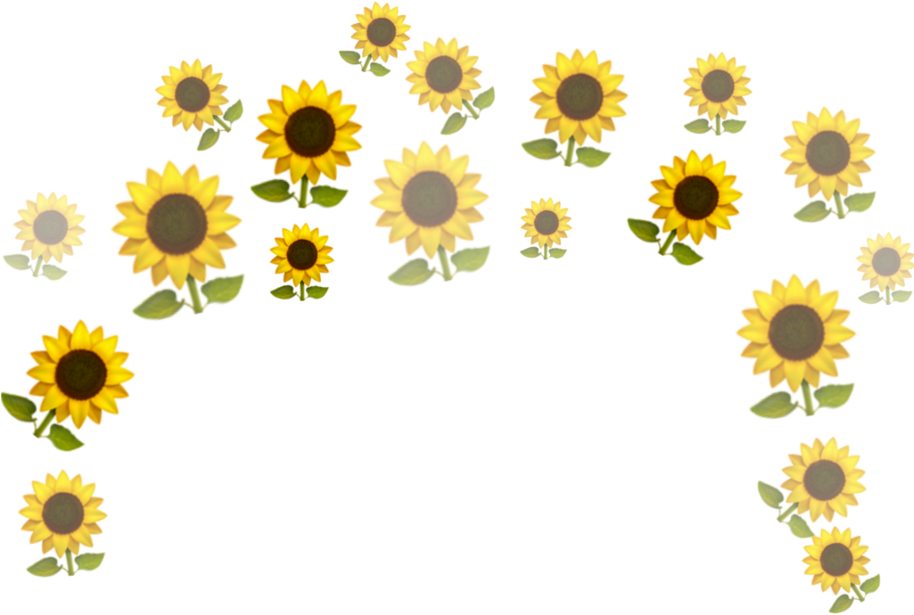 Sunflower 🌻🌻🌻 - Sunflower Clipart (1024x1024), Png Download