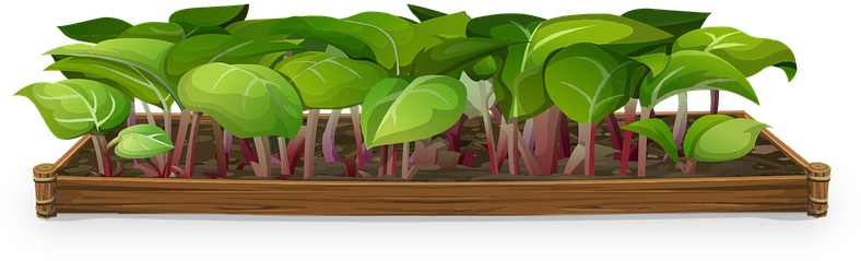 Plants Greenery Tiny Small Gardens Gardening - Plywood Clipart (960x480), Png Download