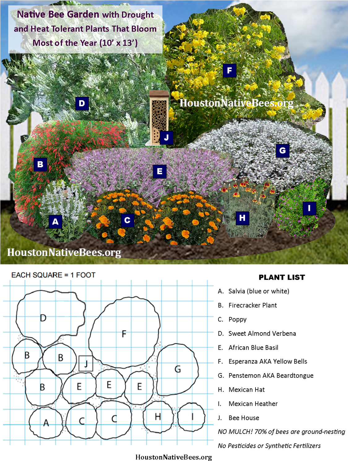 Easy Garden Design To Help Native Pollinators - Bee Garden Plants Clipart (1126x1502), Png Download