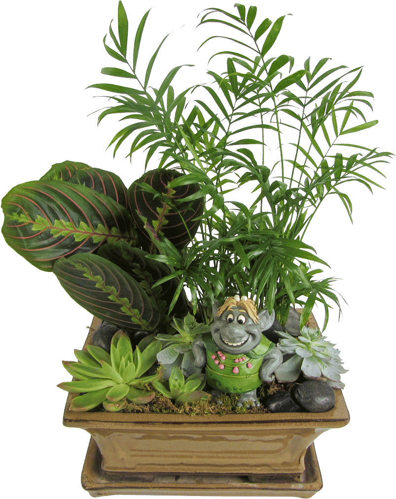 Bulda's Garden - Houseplant Clipart (1024x1024), Png Download
