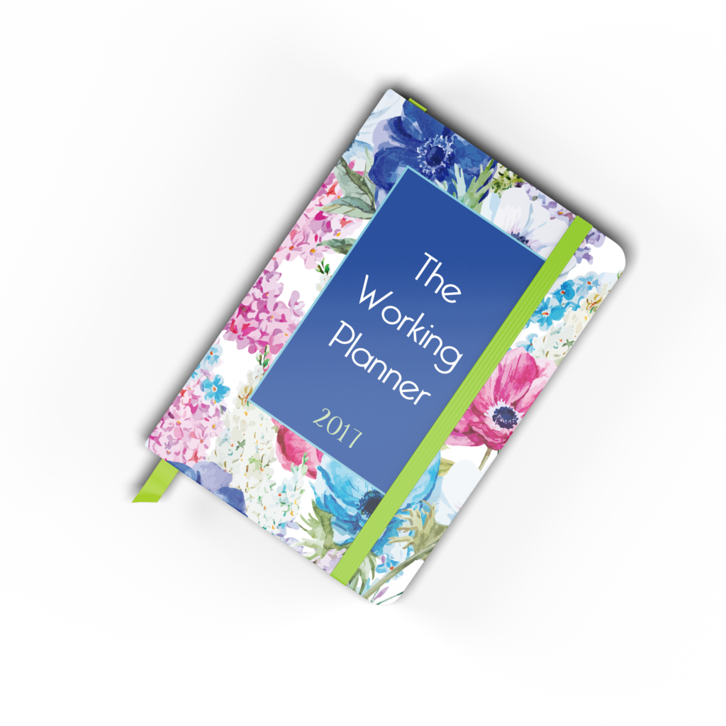 Flores-azules - Hydrangea Clipart (1024x1024), Png Download