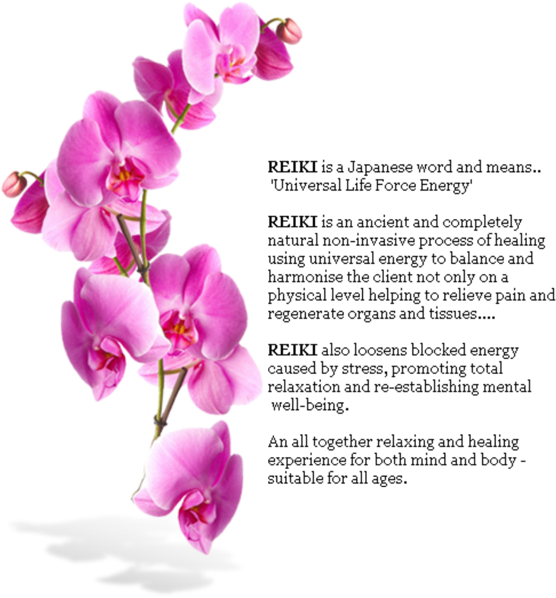 Def - Orchids Mural Clipart (1250x1280), Png Download