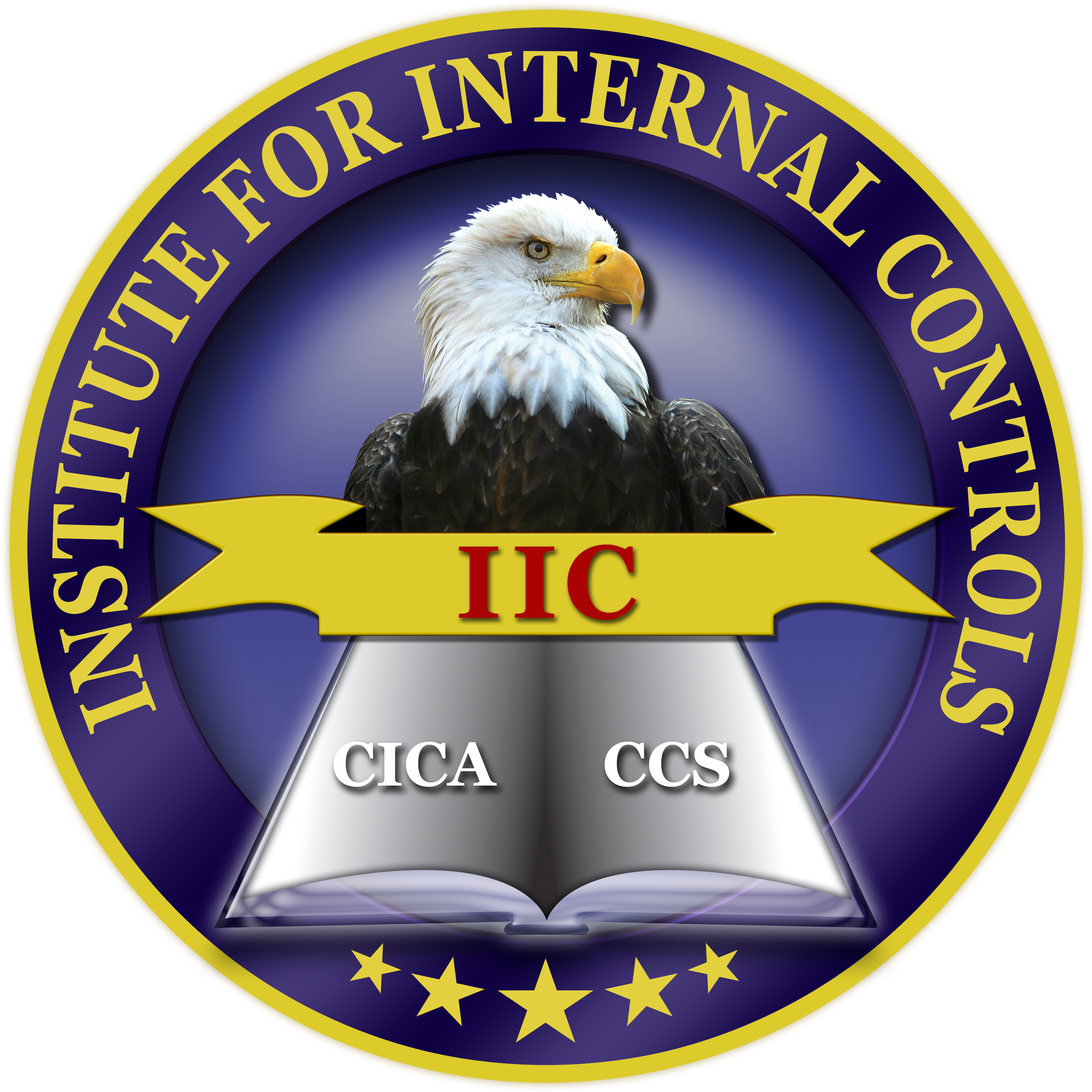 Certified Internal Controls Auditor Clipart (3071x3071), Png Download