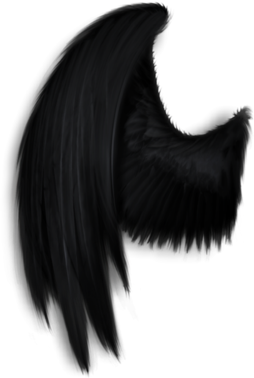 #darkangel #angelwings #angels #angel #wings #feathers - Black Angel Wings Png Clipart (543x799), Png Download