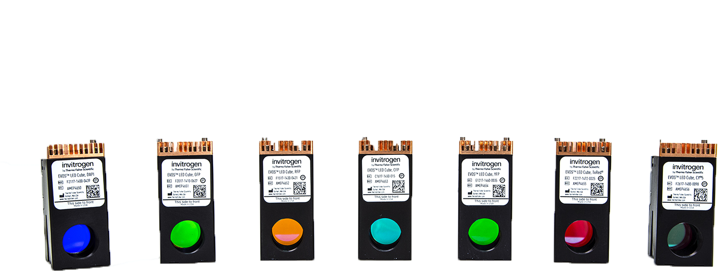 Lightcubelineup-1 - Traffic Light Clipart (1500x831), Png Download