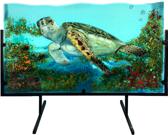 Large Sea Turtle With Coral And Custom Stand - Led-backlit Lcd Display Clipart (600x483), Png Download