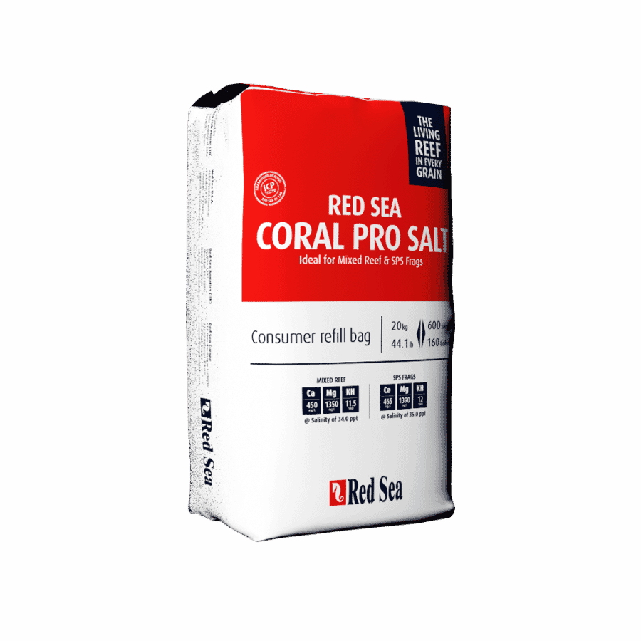 Paper Clipart (900x900), Png Download