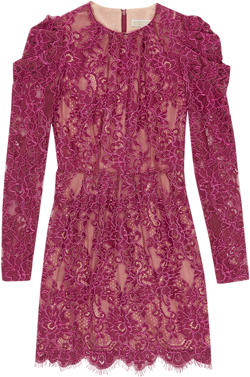 Michael Michael Kors Scalloped, Corded Floral Lace - Day Dress Clipart (800x800), Png Download