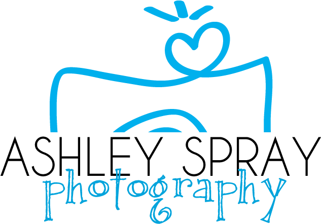 Ashley Spray Photography - Calligraphy Clipart (720x496), Png Download