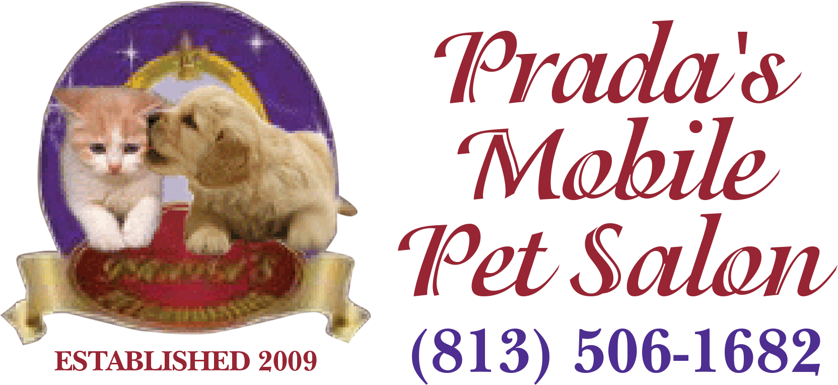 Cocker Spaniel Clipart (1800x812), Png Download