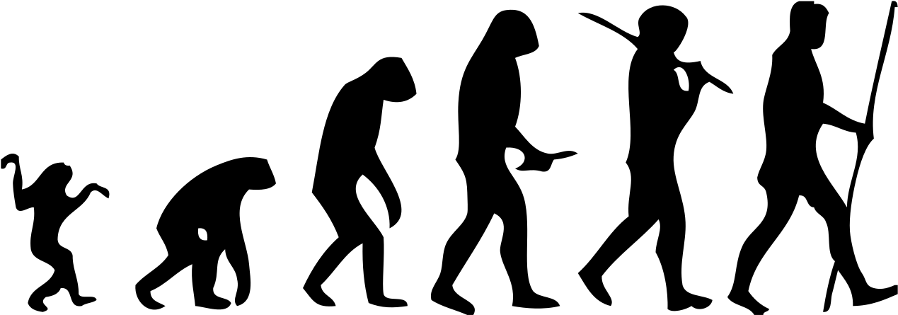 Human Png - Human Evolution Png Clipart (1280x456), Png Download