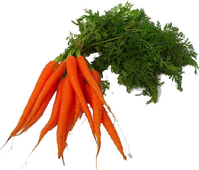 Carrot Png Clipart - Transparent Vegetable Png (752x600), Png Download