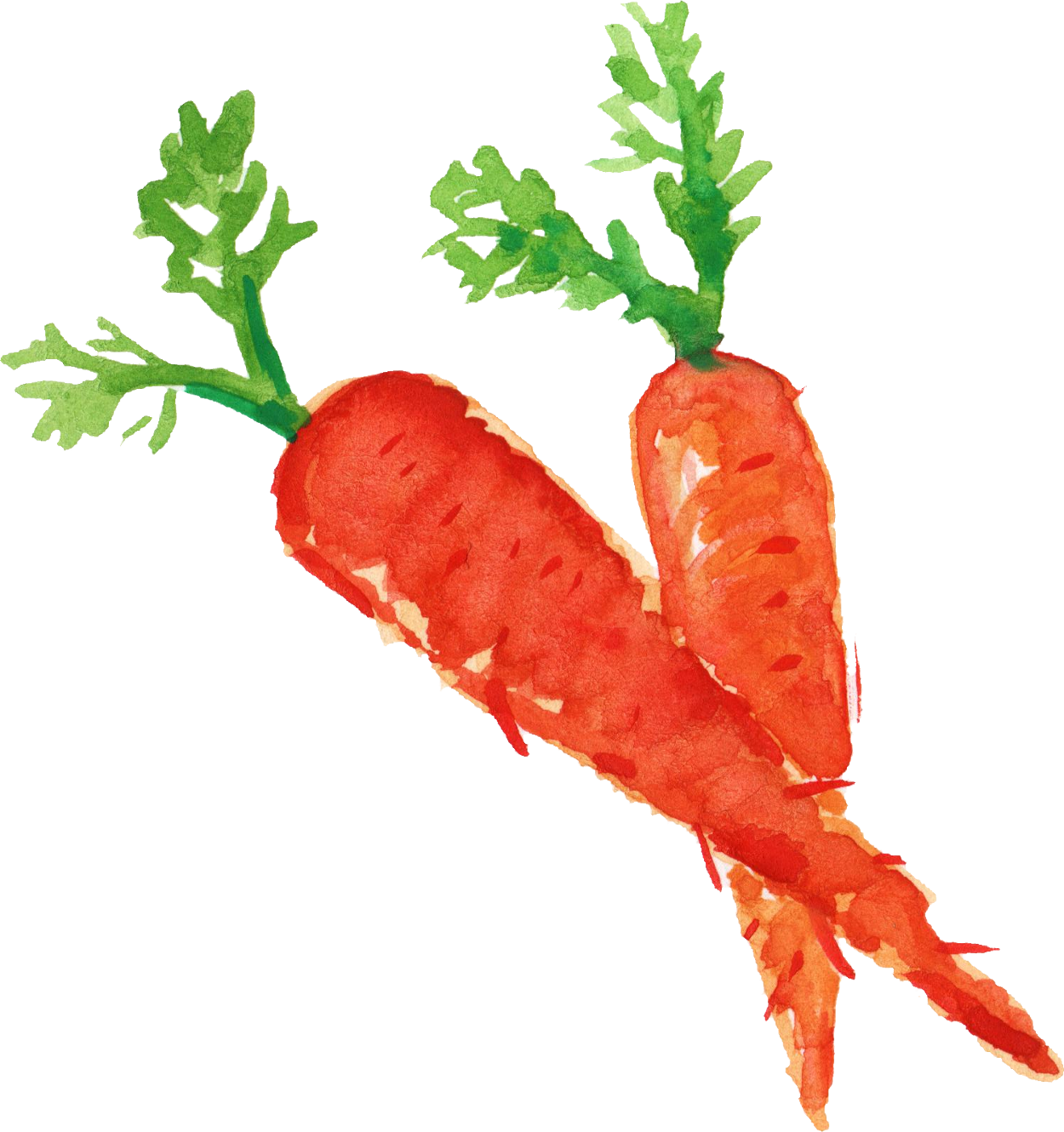 Carrot Png Transparent Images Clipart (1250x1330), Png Download