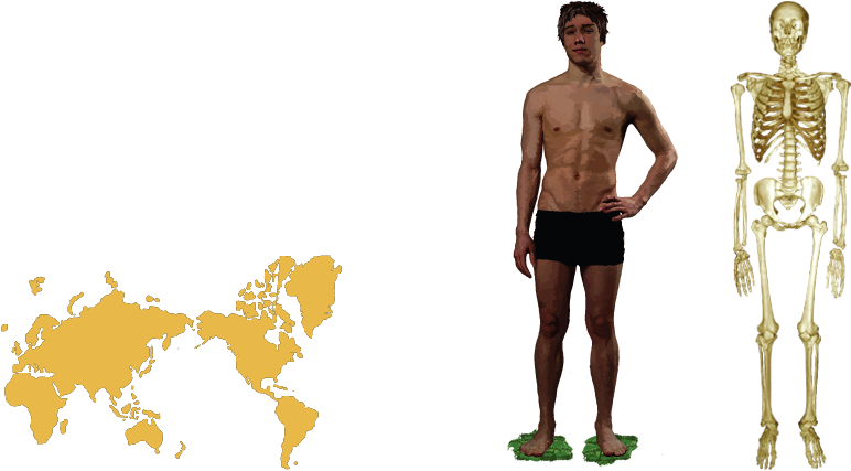 Human - Barechested Clipart (960x540), Png Download