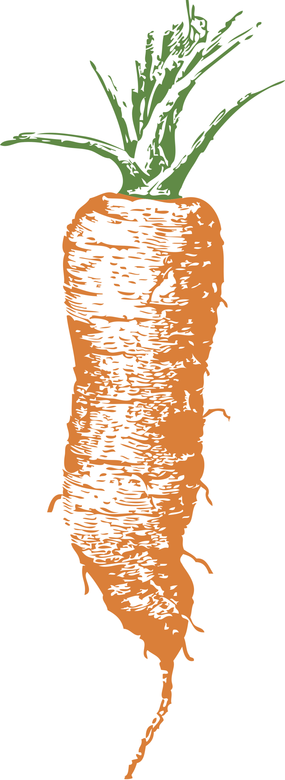 Carrot - Baby Carrot Poem Clipart (958x2615), Png Download