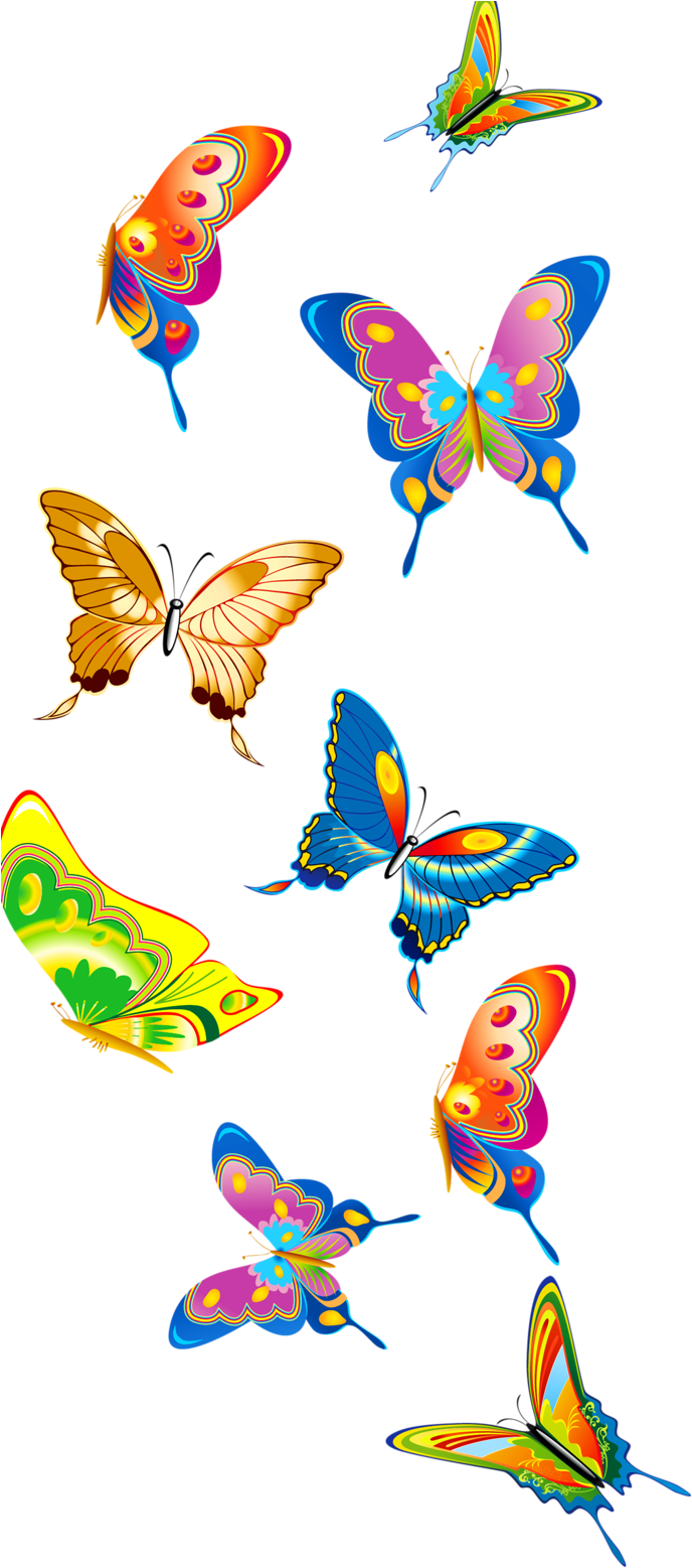 Фото, Автор Soloveika На Яндекс - Butterflies Clipart - Png Download (733x1600), Png Download