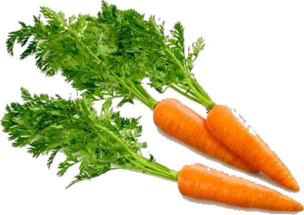 Carrot With No Background Clipart (640x480), Png Download