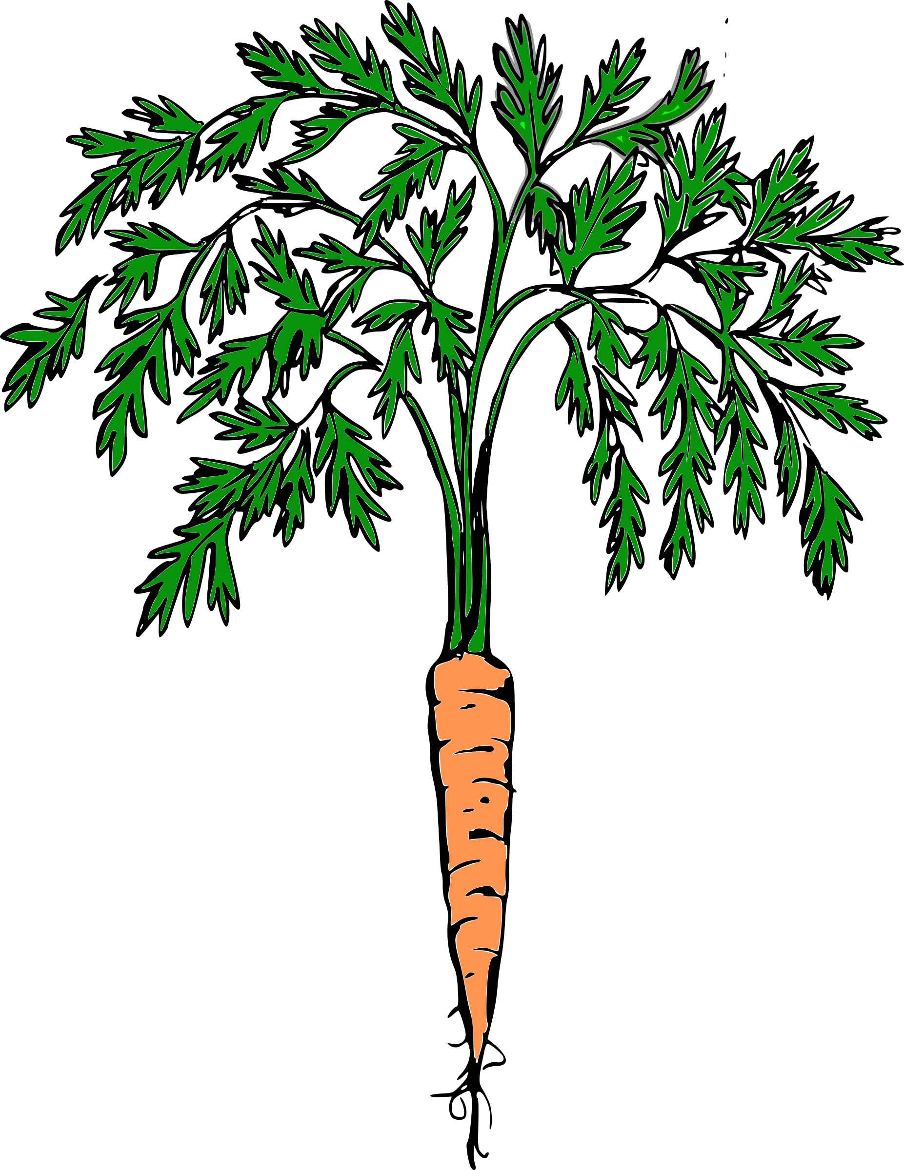 This Free Icons Png Design Of Orange Carrot Clipart (1853x2400), Png Download
