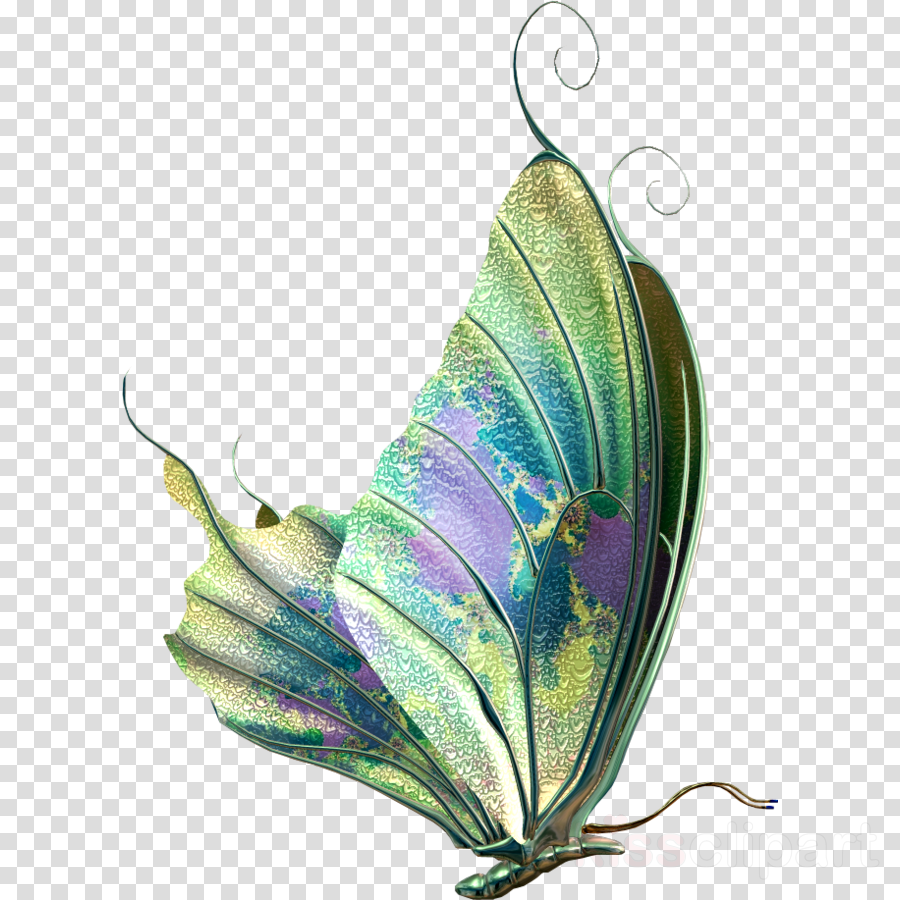 Transparent Background Butterfly Png Clipart Butterfly (900x900), Png Download