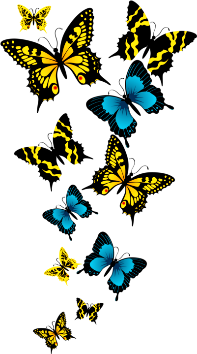 425 X - Png Format Butterfly Png Clipart (732x812), Png Download