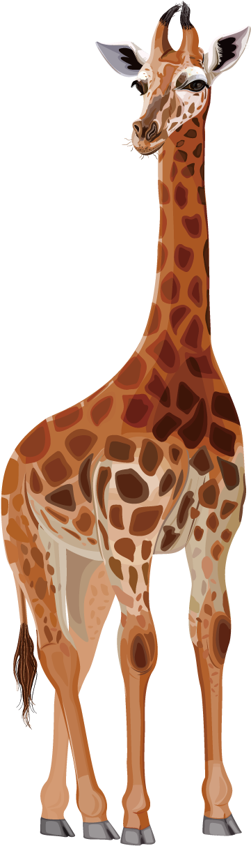Collection Of Free Cartoons Download On Ubisafe - Northern Giraffe Drawing Clipart (1276x1276), Png Download