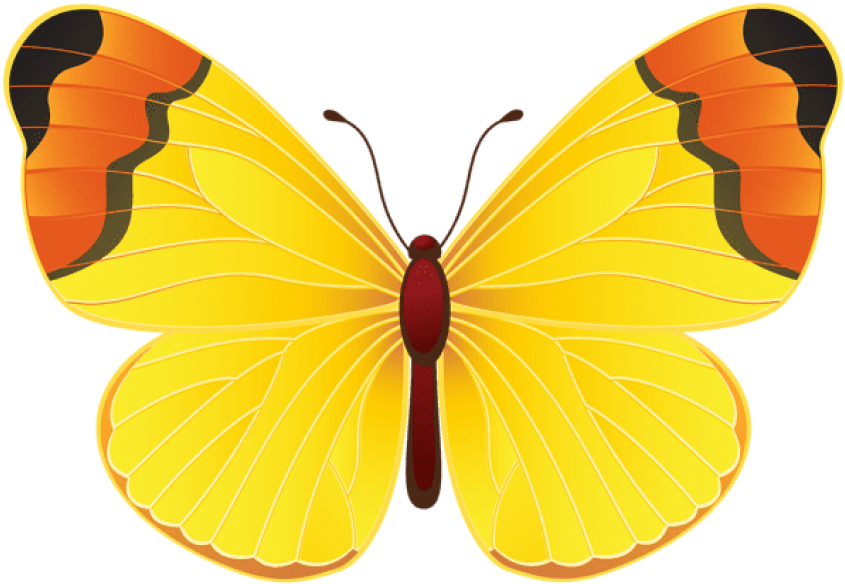 Download Yellow Butterfly Png Clipart Png Photo - Yellow Butterfly Clip Art Transparent Png (850x590), Png Download