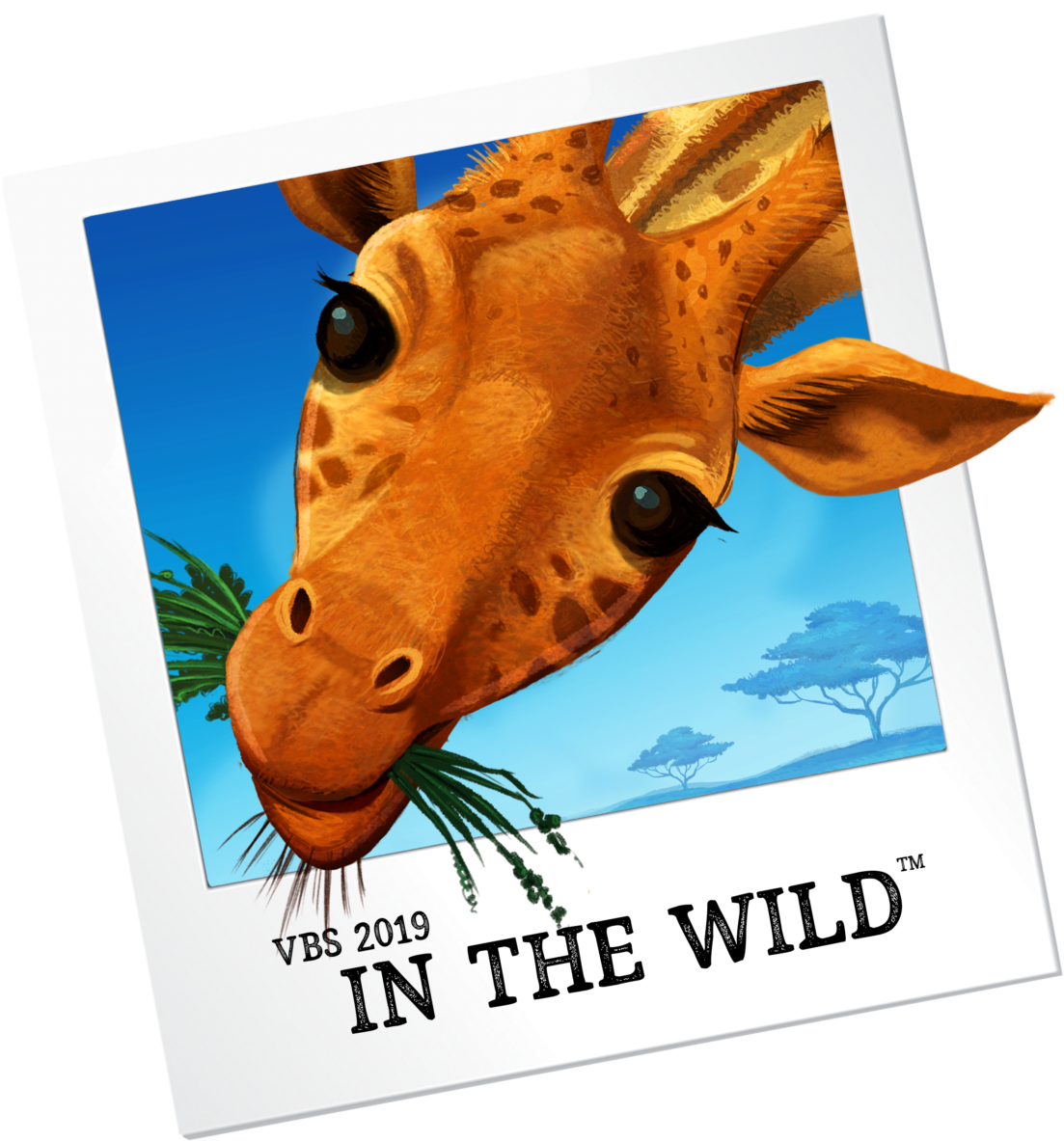 Giraffe - Vbs In The Wild Clipart (1125x1200), Png Download